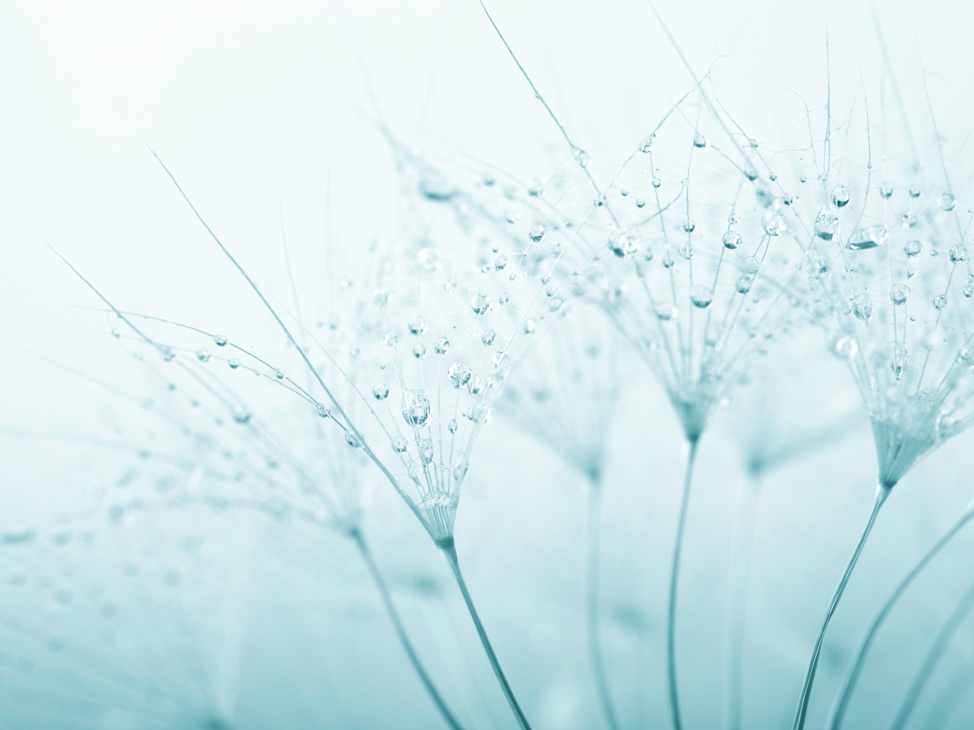 Axians Advanced Threat Protection